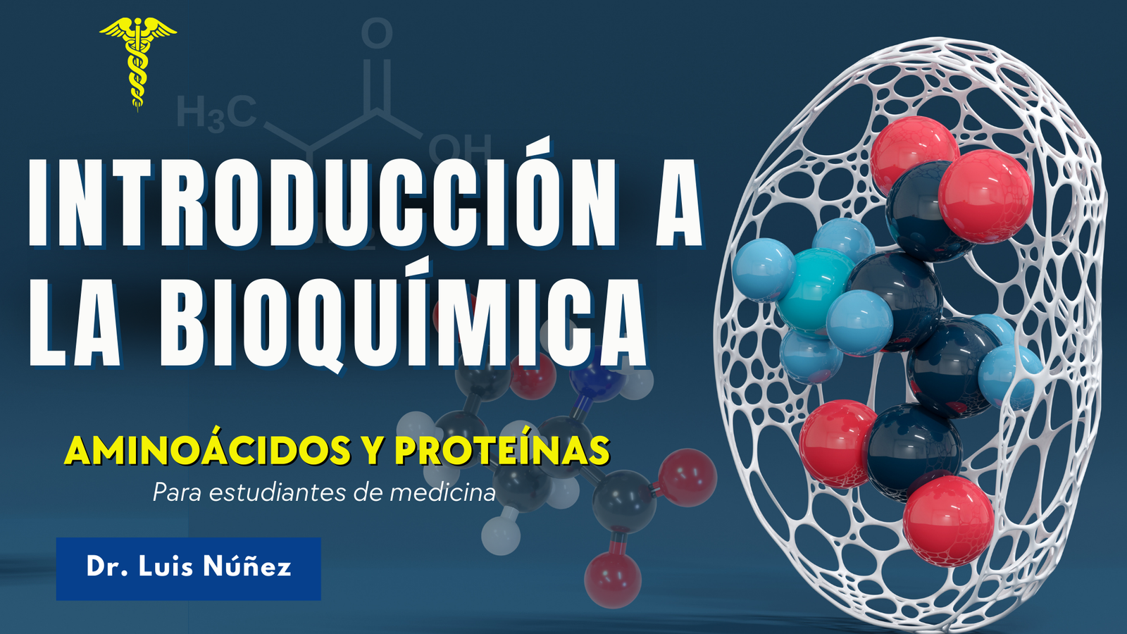 Lee más sobre el artículo Introducción a la bioquímica de aminoácidos y proteínas