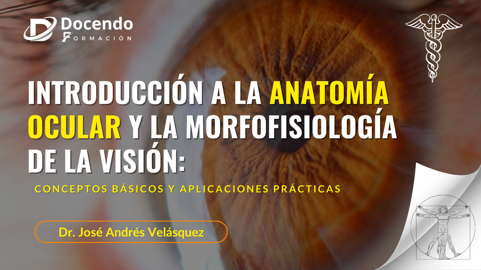 Introducción a la Anatomía Ocular y la Morfofisiología de la Visión