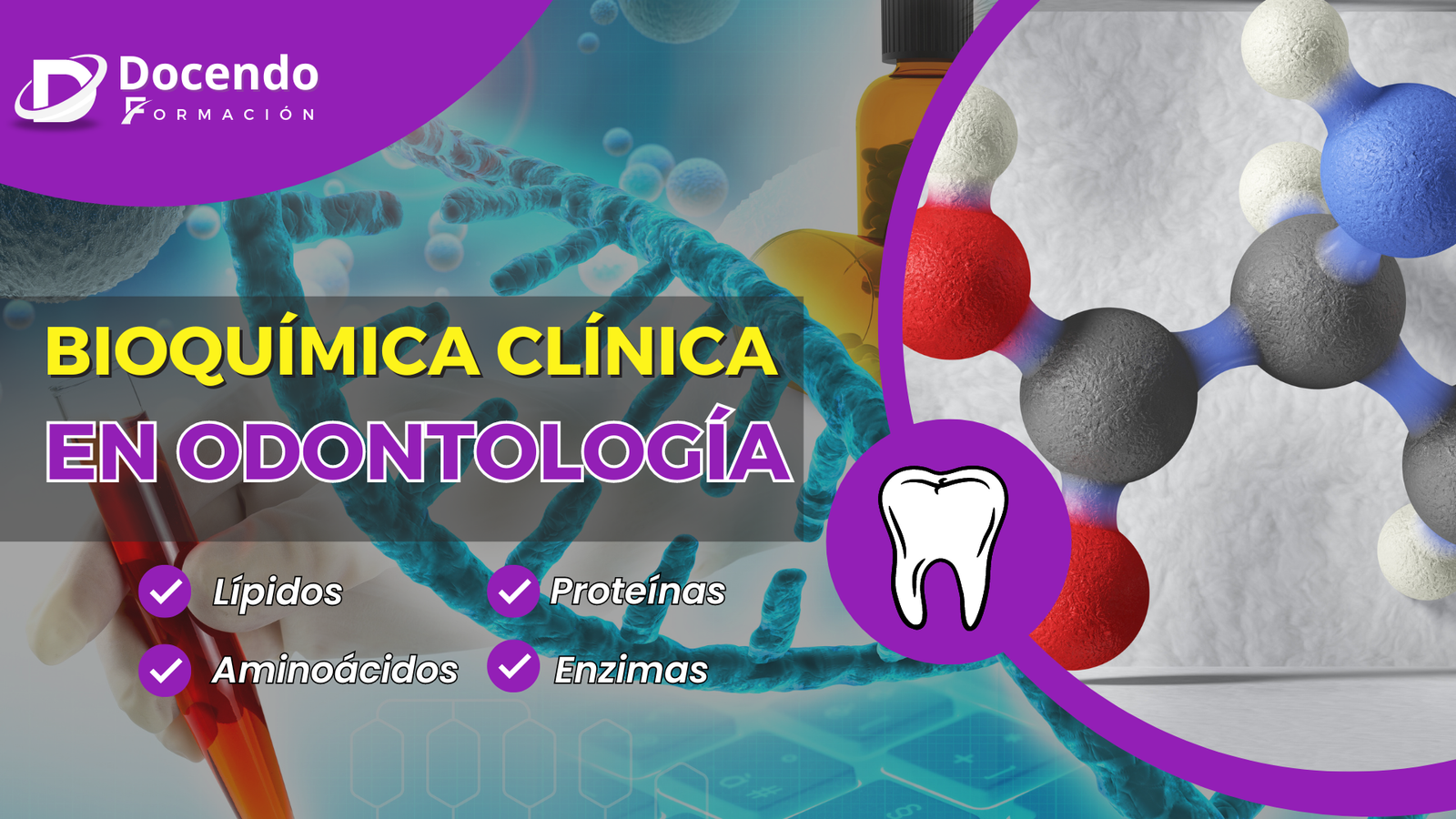 Bioquímica Clínica en Odontología: Lípidos, Aminoácidos, Proteínas y Enzimas