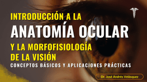 Introducción a la Anatomía Ocular y la Morfofisiología de la Visión
