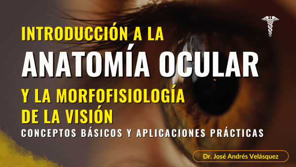Introducción a la Anatomía Ocular y la Morfofisiología de la Visión